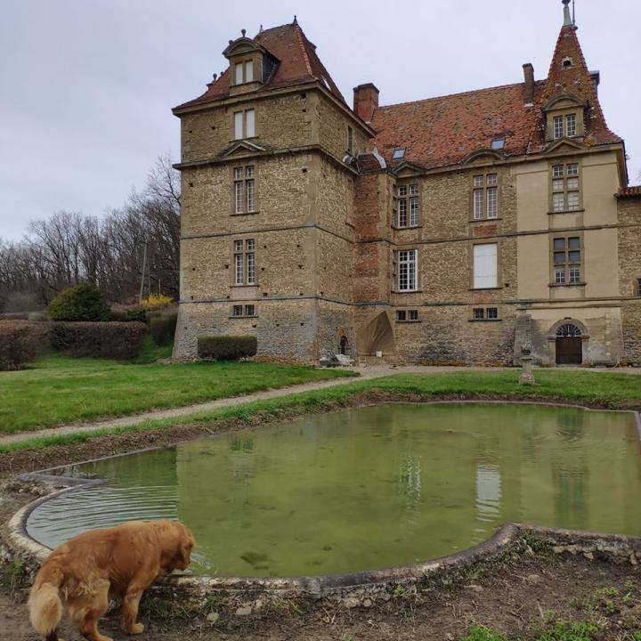 Chateau de Bresson