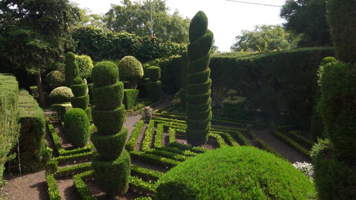 Madere - Jardin botanique - L'art topiaire