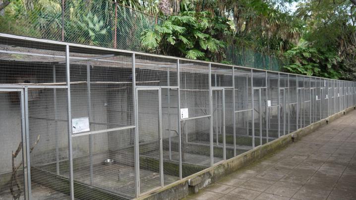 Madere - Jardin botanique - Les cages vides de végétation