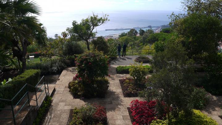 Madere - Jardin botanique un peu partout vue sur la baie de Funchal