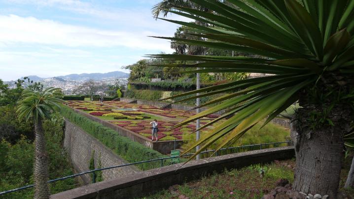 Madere - Jardin botanique - Vue sur la terrasse colorée