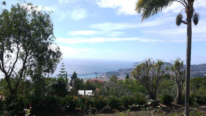 Madère - Jardin botanique vue sur la ville