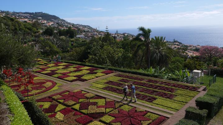 Madère - Terrasses du jardin botanique