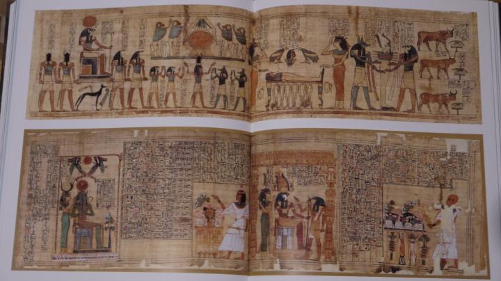 Servir les dieux d'Egypte - Photos très détaillées de papyrus