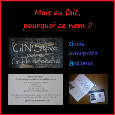 Pourquoi GIN'Steve, votre guide de poche ?