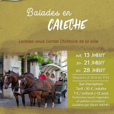 La Tour du Pin - Balades en calèche 2022 Visuel OT