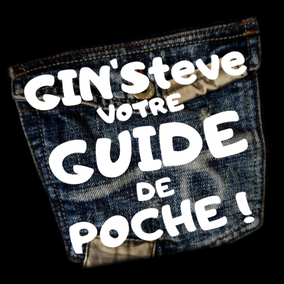 Poche GIN'Steve votre guide de poche 2023