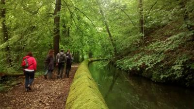 Rives - Canal longeant les bords de la Fure